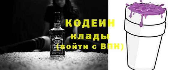 прущая мука Вяземский
