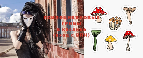 гашик Барнаул