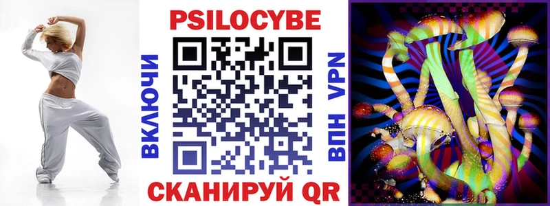 Купить где  Котово  Псилоцибиновые грибы Cubensis 