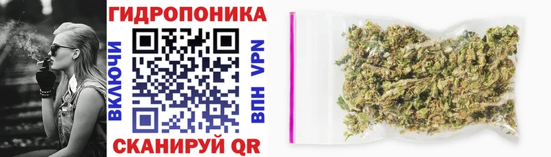 Купить закладки  Котово  МАРИХУАНА MAZAR 